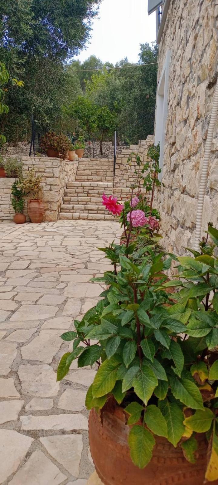 Villa Makris Zenempisatika Esterno foto