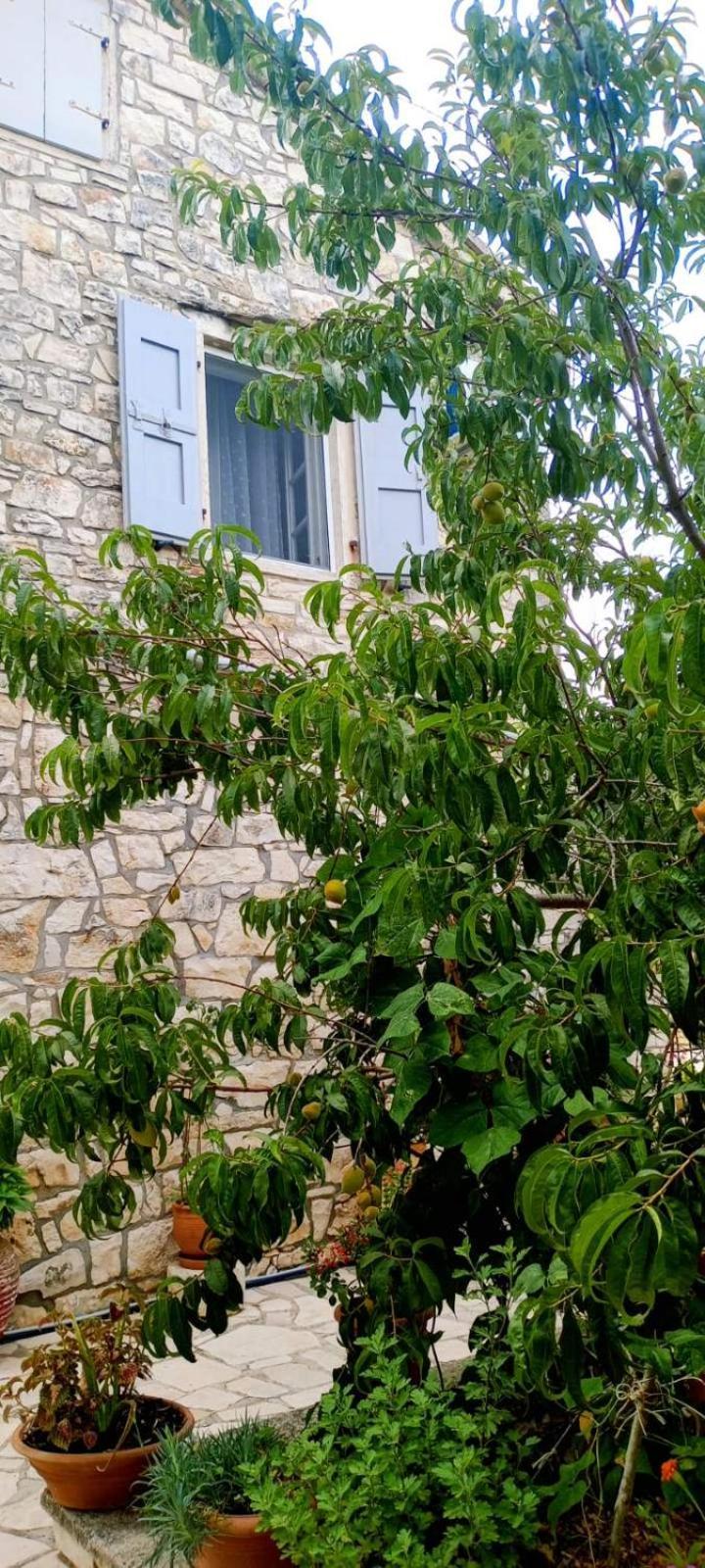 Villa Makris Zenempisatika Esterno foto