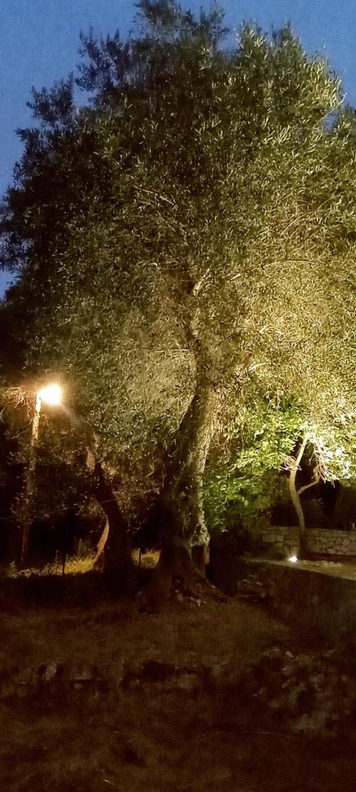 Villa Makris Zenempisatika Esterno foto