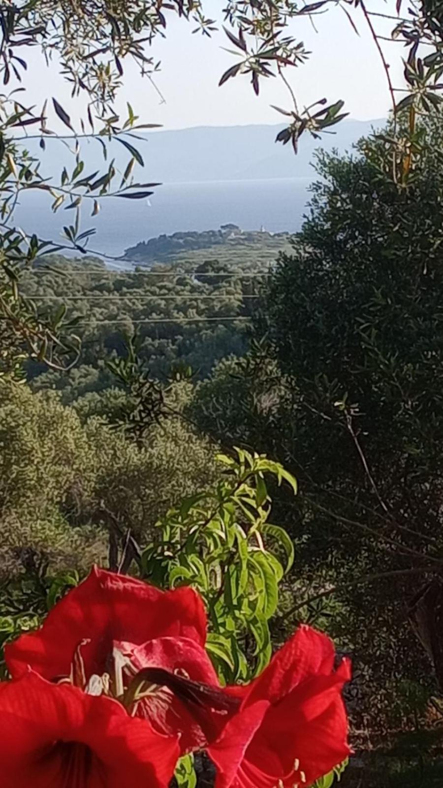 Villa Makris Zenempisatika Esterno foto